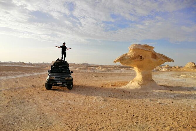 Camping in the White & Black Desert ( Bahariya Oasis) & Cairo Private transfer - FAQ