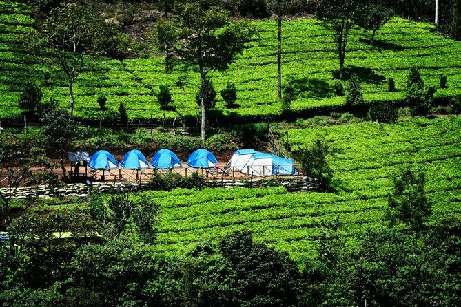 Camping Suriyaneli/Munnar Kerala - The Camping Experience: Setting and Comfort