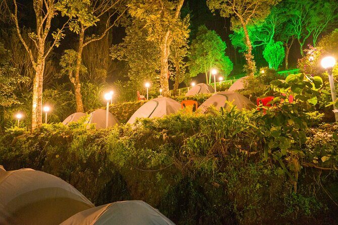 Camping Suriyaneli/Munnar Kerala - Evening Campfire and Dinner