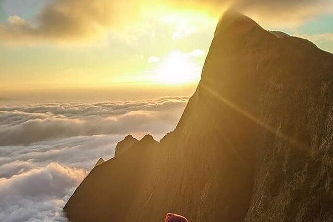 Camping Suriyaneli/Munnar Kerala - Morning Activities: Sunrise and Treks