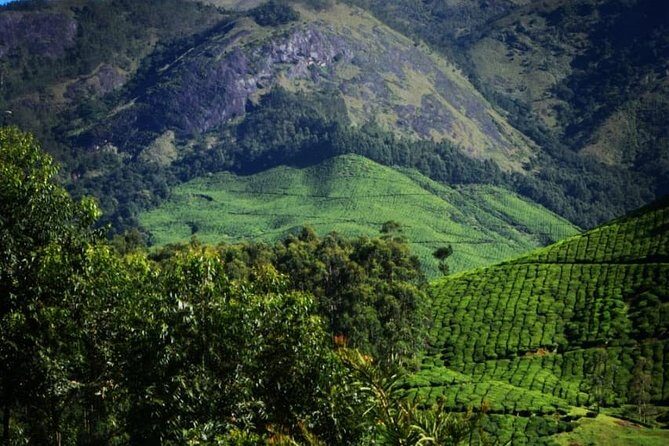 Camping Suriyaneli/Munnar Kerala - Who Should Book This Tour?