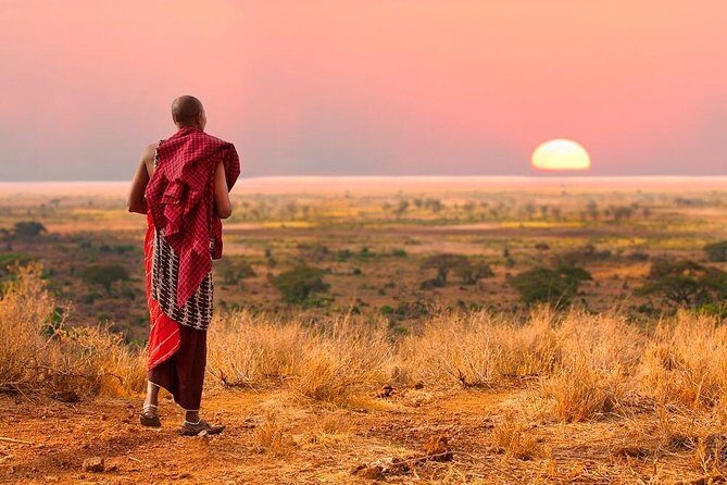 Camping to Serengeti & Ngorongoro Premium Parks - Why This Tour Offers Great Value  