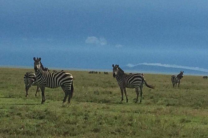 Camping to Serengeti & Ngorongoro Premium Parks - FAQ  