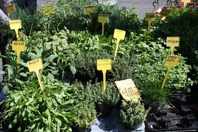 campo-dei-fiori-market-and-trevi-fountain-district-food-wine-tour-in-rome