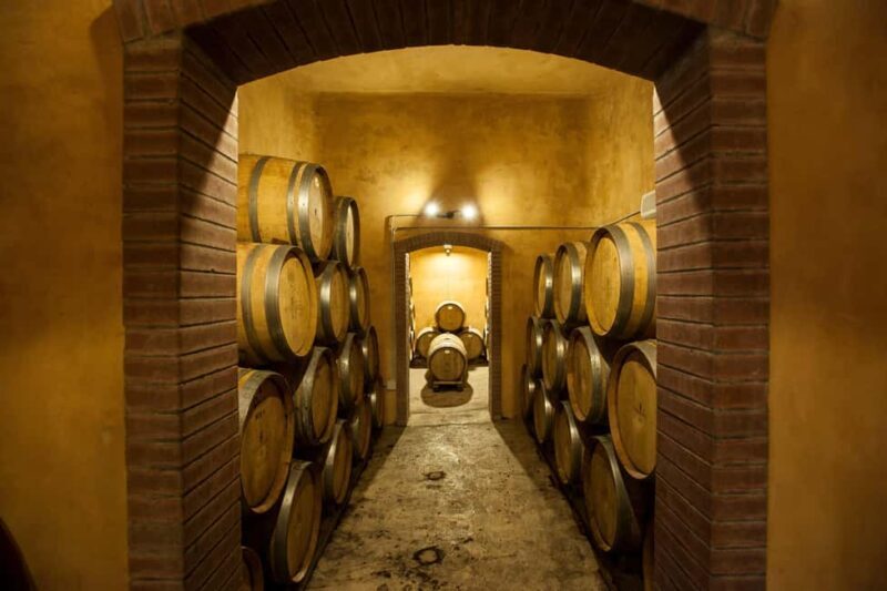 Camporeale: Sallier de La Tour Wine Discovery Tour - Key Points
