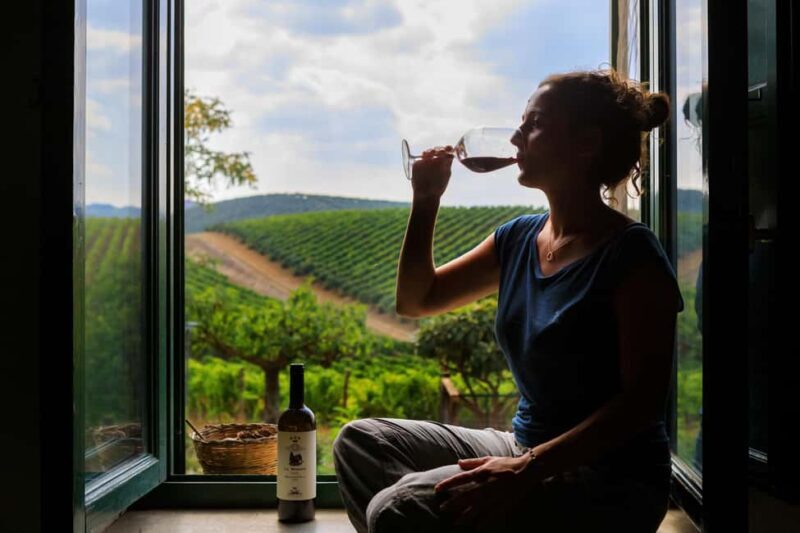Camporeale: Sallier de La Tour Wine Discovery Tour - Final Thoughts