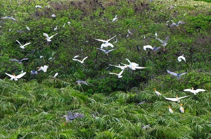 Can Gio Forest day trip by speedboat - Final Thoughts