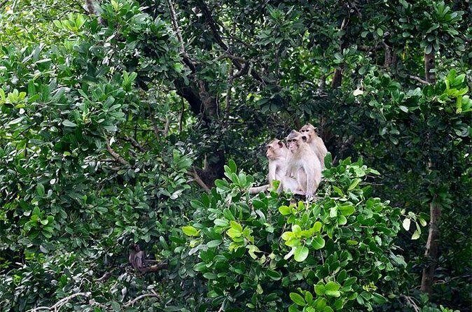 Can Gio Forest day trip by speedboat - FAQs