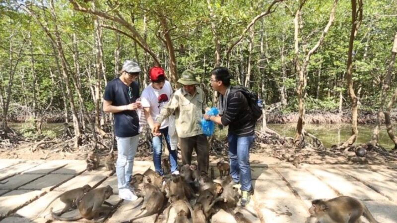 can-gio-mangrove-biosphere-reserve-1-day-tour
