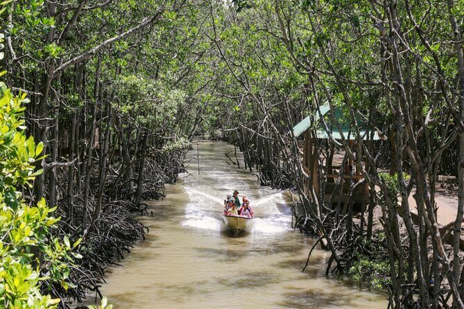Can Gio Mangrove Biosphere Reserve Canoe & Wildlife Tour - Who Is This Tour Best For?