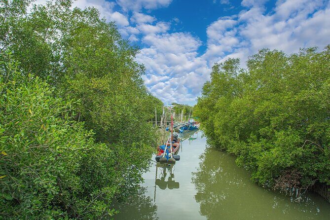 Can Gio Mangrove Forest 1 day tour - Who Is This Tour Best Suited For?
