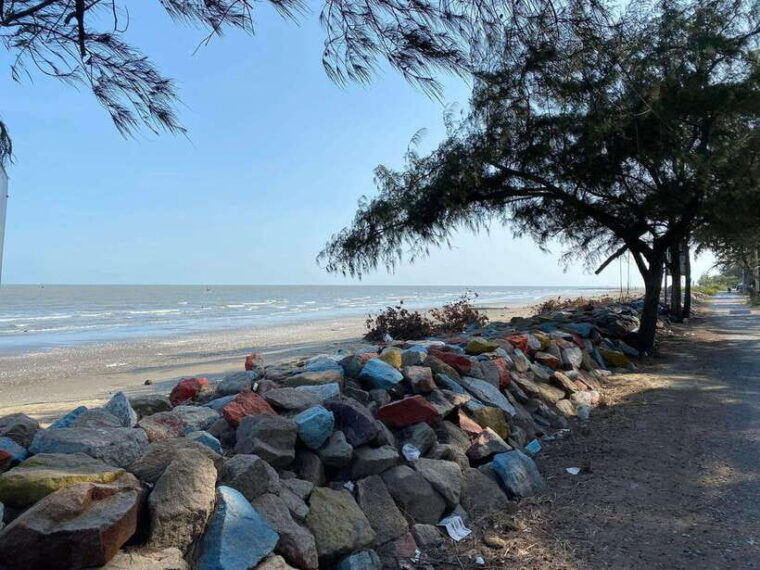 can-gio-mangrove-forest-and-monkey-island-1-day