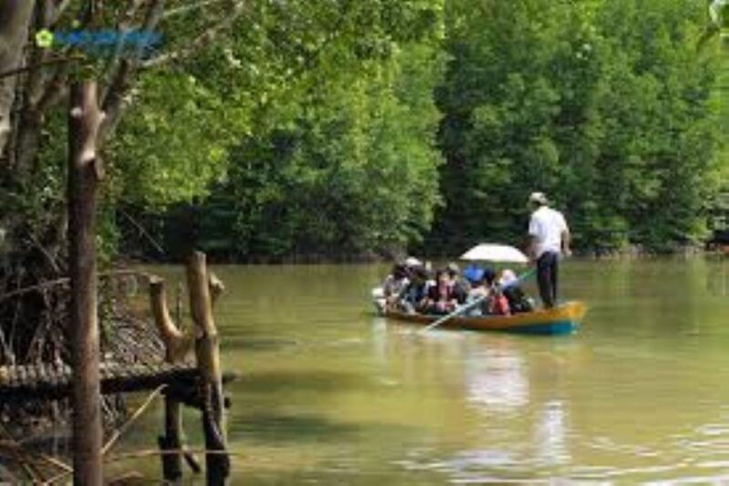 can-gio-mangrove-forest-and-monkey-island-full-day-tour-3