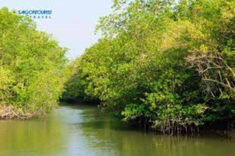 can-gio-mangrove-forest-and-monkey-island-full-day-tour-4