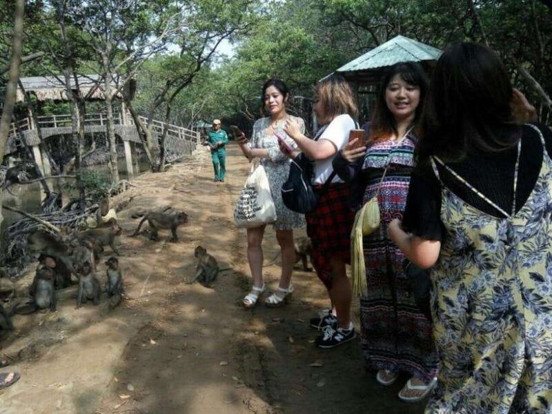 can-gio-mangrove-forest-monkey-island-full-day-group-tour