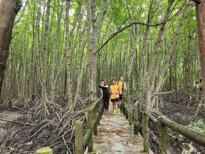 can-gio-mangrove-forest-monkey-island-w-small-group-tour