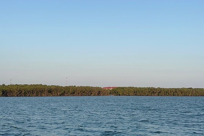Can Gio Mangrove Forest Private Tour With Thanh An Island - What to Expect: A Deep Dive into the Tour Itinerary