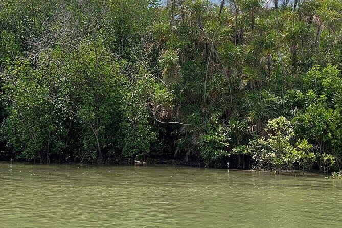 Can Gio Mangrove Forest Private Tour With Thanh An Island - Who Would Love This Tour?