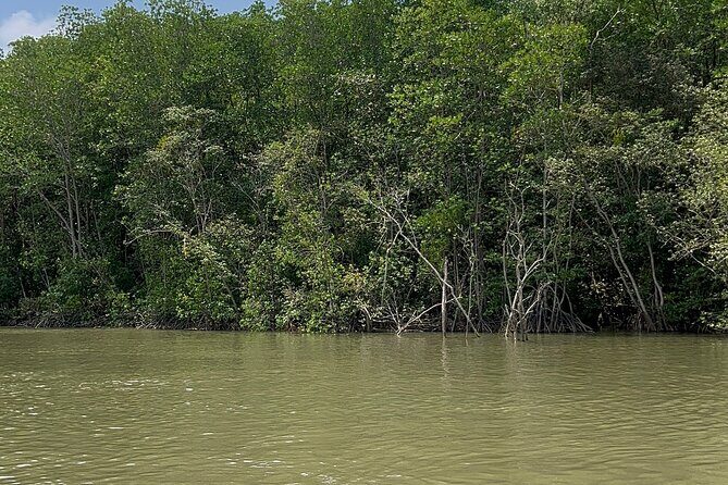 Can Gio Mangrove Forest Private Tour With Thanh An Island - The Sum Up