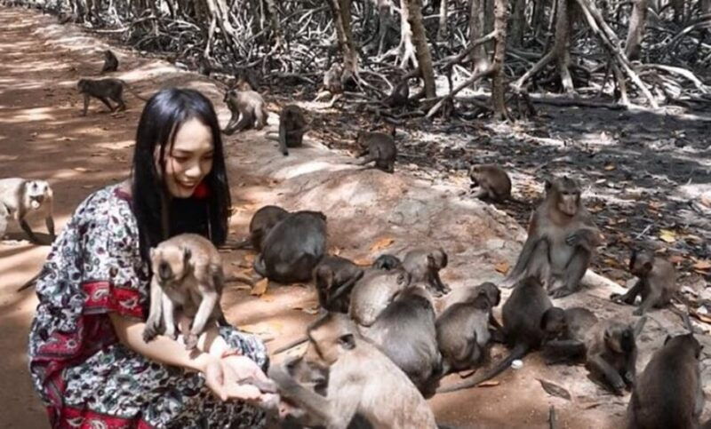 can-gio-mangrove-forest