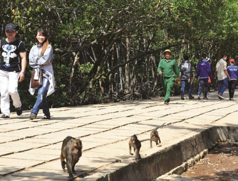can-gio-mangrove-forest