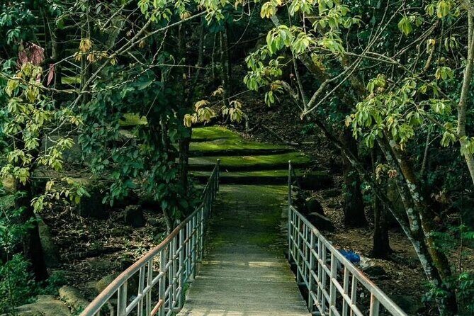 Can Gio Mangrove Forest, Thanh An Island, Vung Tau 2 Days Tour - Visiting the Local Seafood Market