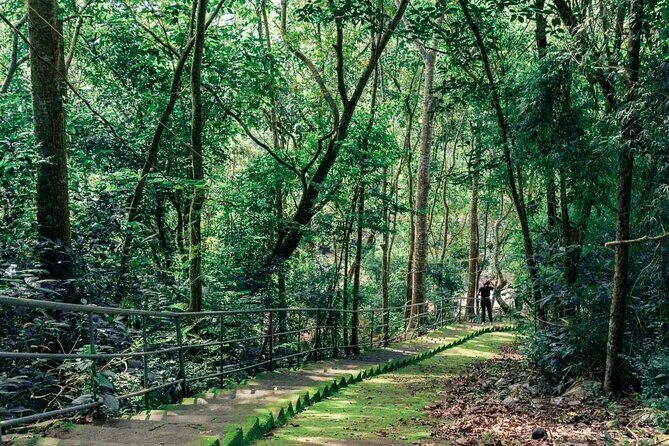 Can Gio Mangrove Forest, Thanh An Island, Vung Tau 2 Days Tour - Vung Tau: The Coastal City