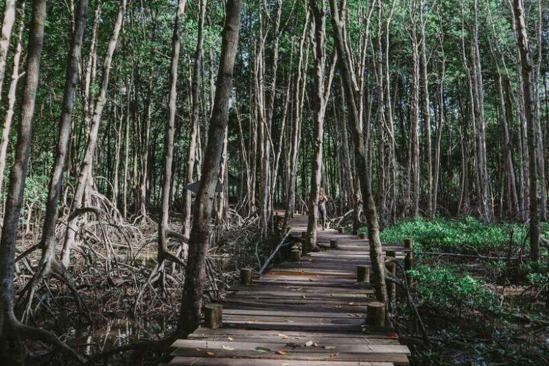 Can Gio Mangrove, Thanh An Island, Vung Tau City 2 Days Tour - Introduction: Why This Tour Stands Out