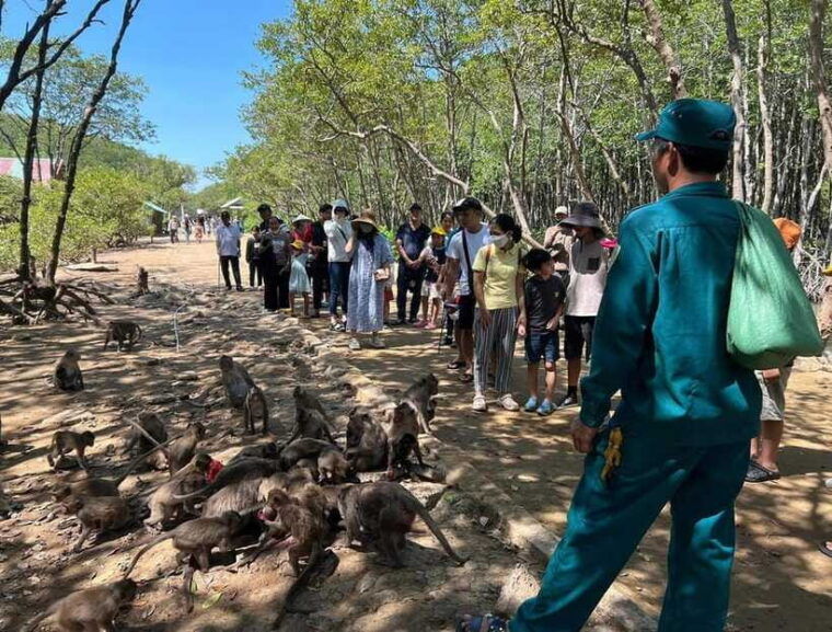can-gio-monkey-island-day-trip-from-hcmc