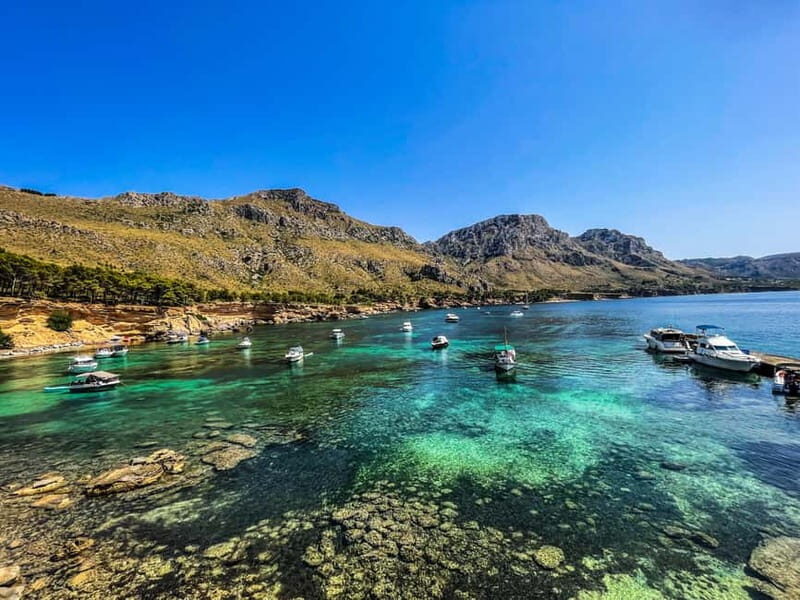 Can Picafort: 2h Private Boat Ride  Swim, Snorkel & Relax - Who Will Love This Experience?