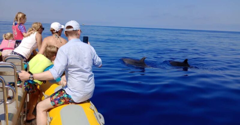 Can Picafort: Dolphin Watching Boat Tour, Swimming stop - The Sum Up: Is It Worth It?