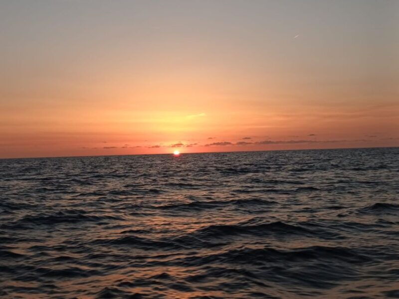 can-picafort-dolphin-watching-boat-tour-with-swimming