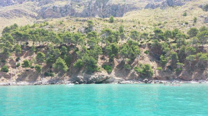 can-picafort-half-day-boat-excursion