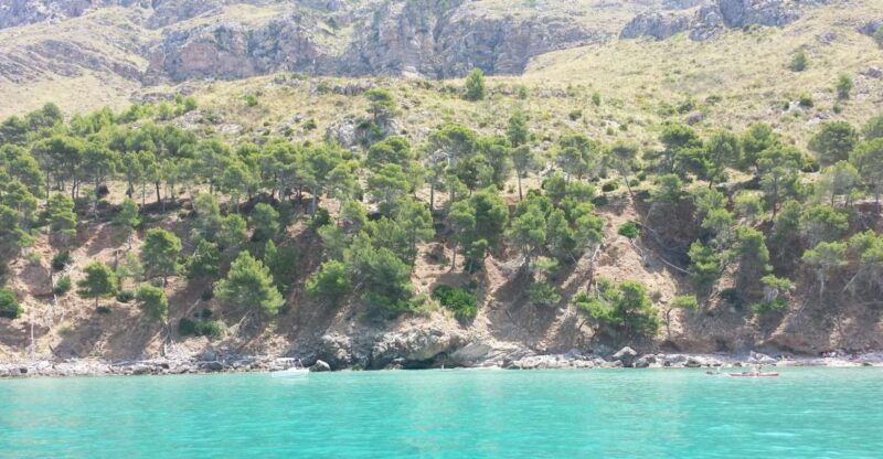 can-picafort-half-day-boat-excursion