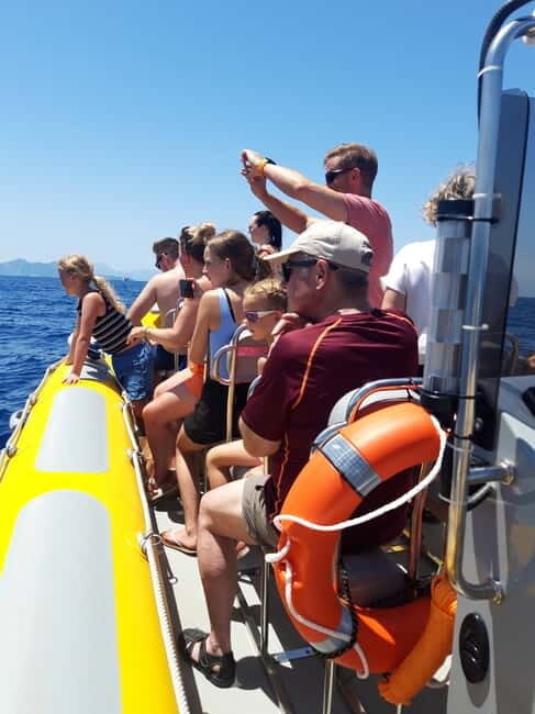 Can Picafort or Alcudia: Private boat dolphin watching - Exploring Mallorca’s Coast: What to Expect