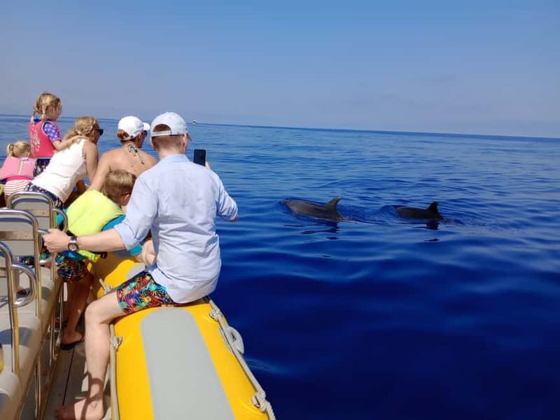 Can Picafort or Alcudia: Private boat dolphin watching - Authentic Experiences & What Travelers Say
