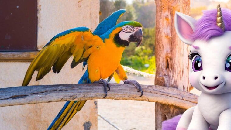 can-picafort-the-lovely-magical-creatures-family-fun-game