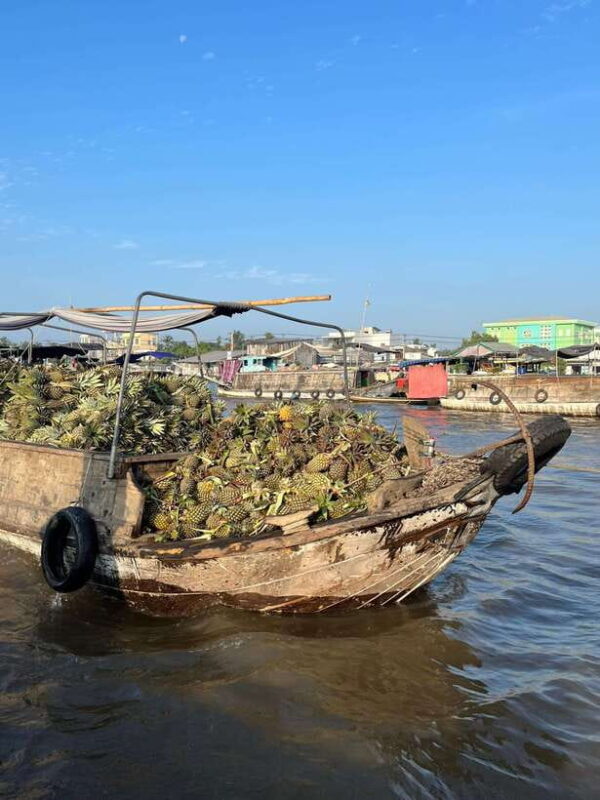 Can Tho: Cai Rang Floating Market and Canals - Introduction: The Charm of the Mekong Delta with a Focus on Cai Rang
