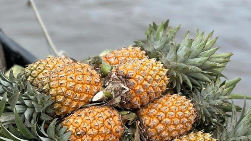 can-tho-floating-market-explore-local-life-mekong-farm