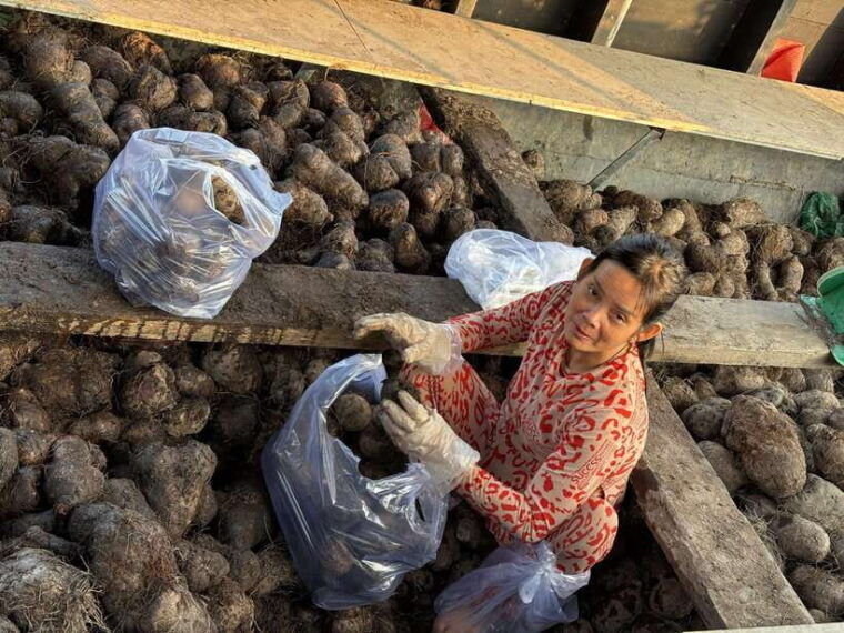 can-tho-floating-market-fruit-garden-canals-local-life