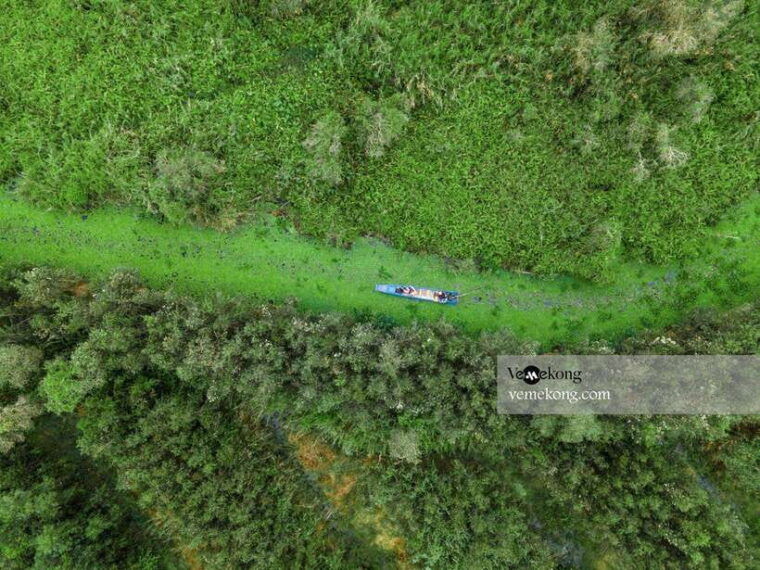 can-tho-lung-ngoc-hoang-forest-nature-reserve-half-day-tour