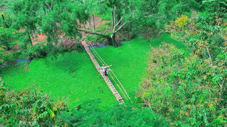 can-tho-lung-ngoc-hoang-nature-reserve-and-mekongs-life