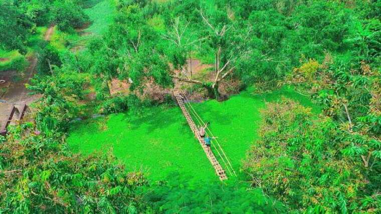 can-tho-lung-ngoc-hoang-nature-reserve-and-mekongs-life