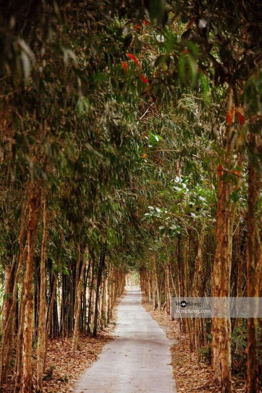 can-tho-lung-ngoc-hoang-nature-reserve-forest-tour