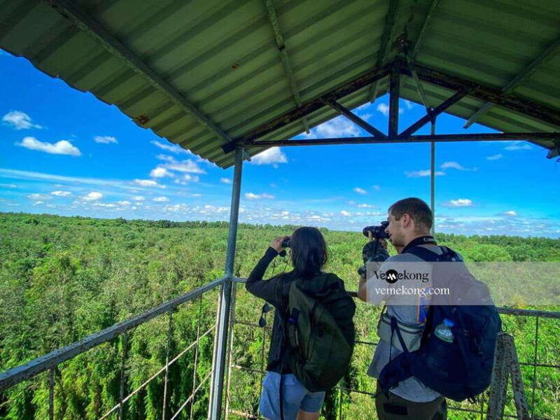 can-tho-lung-ngoc-hoang-nature-reserve-forest-tour