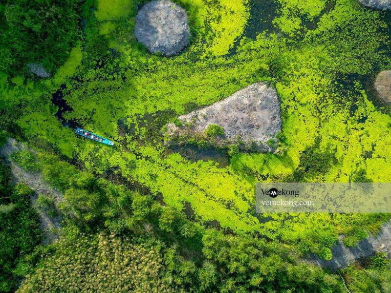 can-tho-lung-ngoc-hoang-nature-reserve-forest-tour