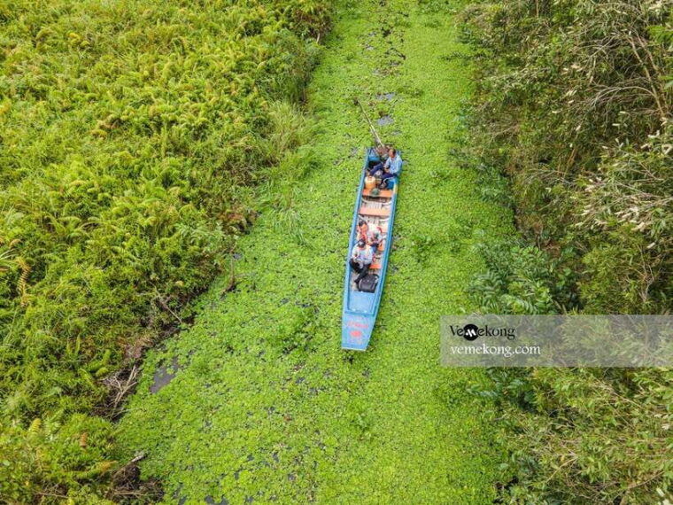 can-tho-lung-ngoc-hoang-nature-reserve-forest-tour