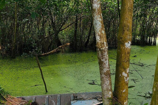 Can Tho: Lung Ngoc Hoang Nature Reserve & Hidden Forests - Why You Should Consider This Tour