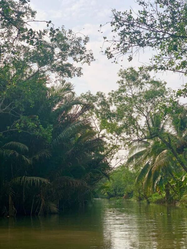 Can Tho: Magical sunrise over the Mekong River - Final Thoughts