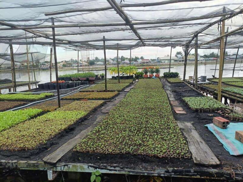 Can Tho: Small Canal and enjoy Sunet on Can Tho river - Key Points